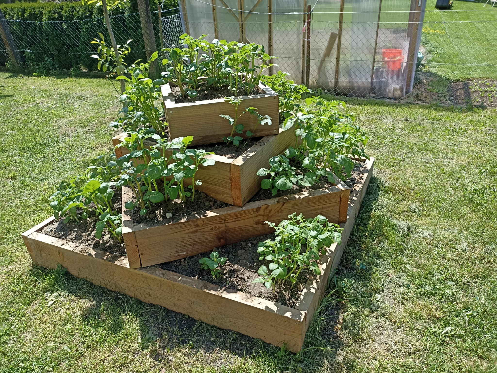 Unsere Kartoffelpyramide