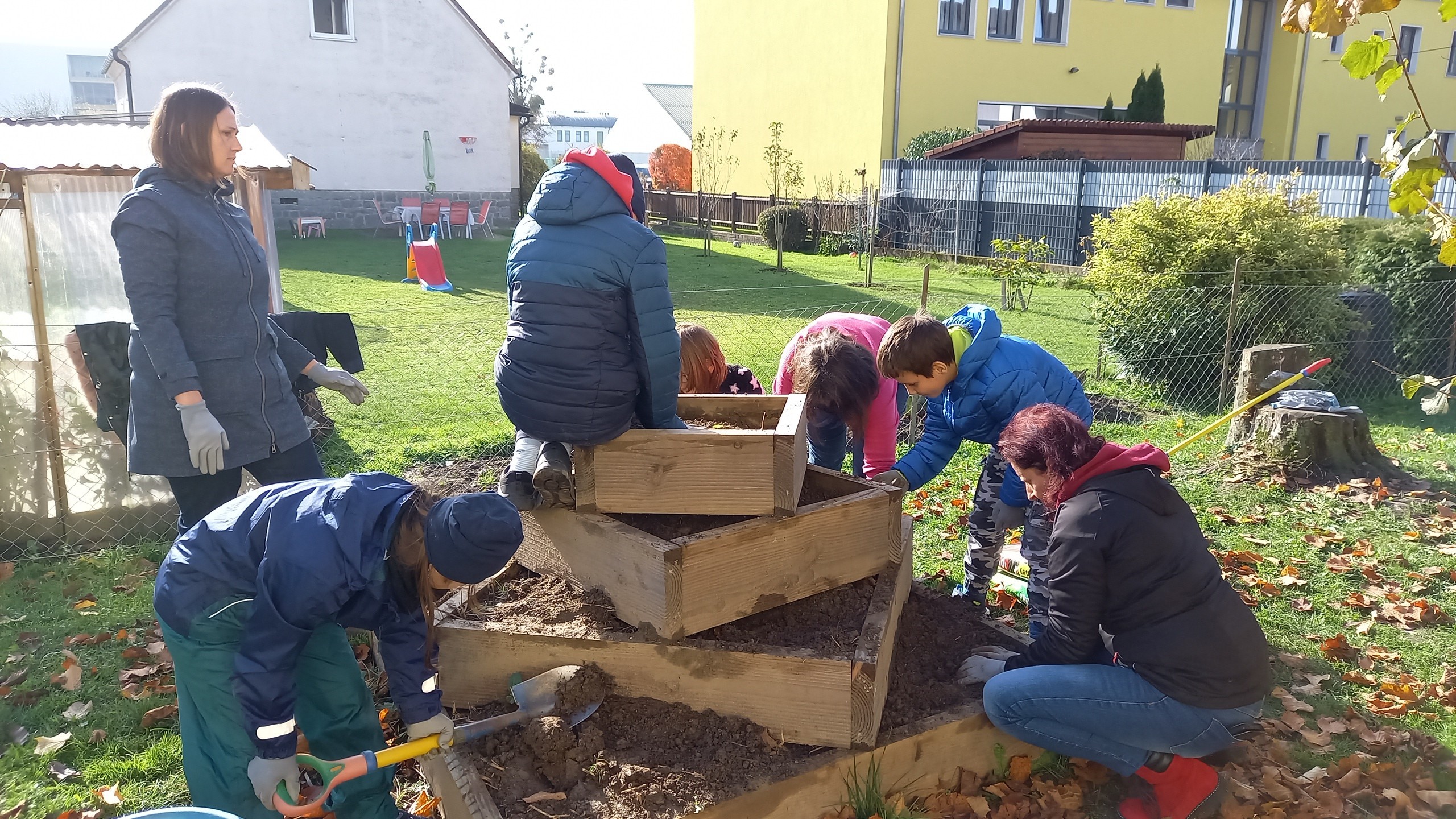 Frühlingszwiebeln setzen