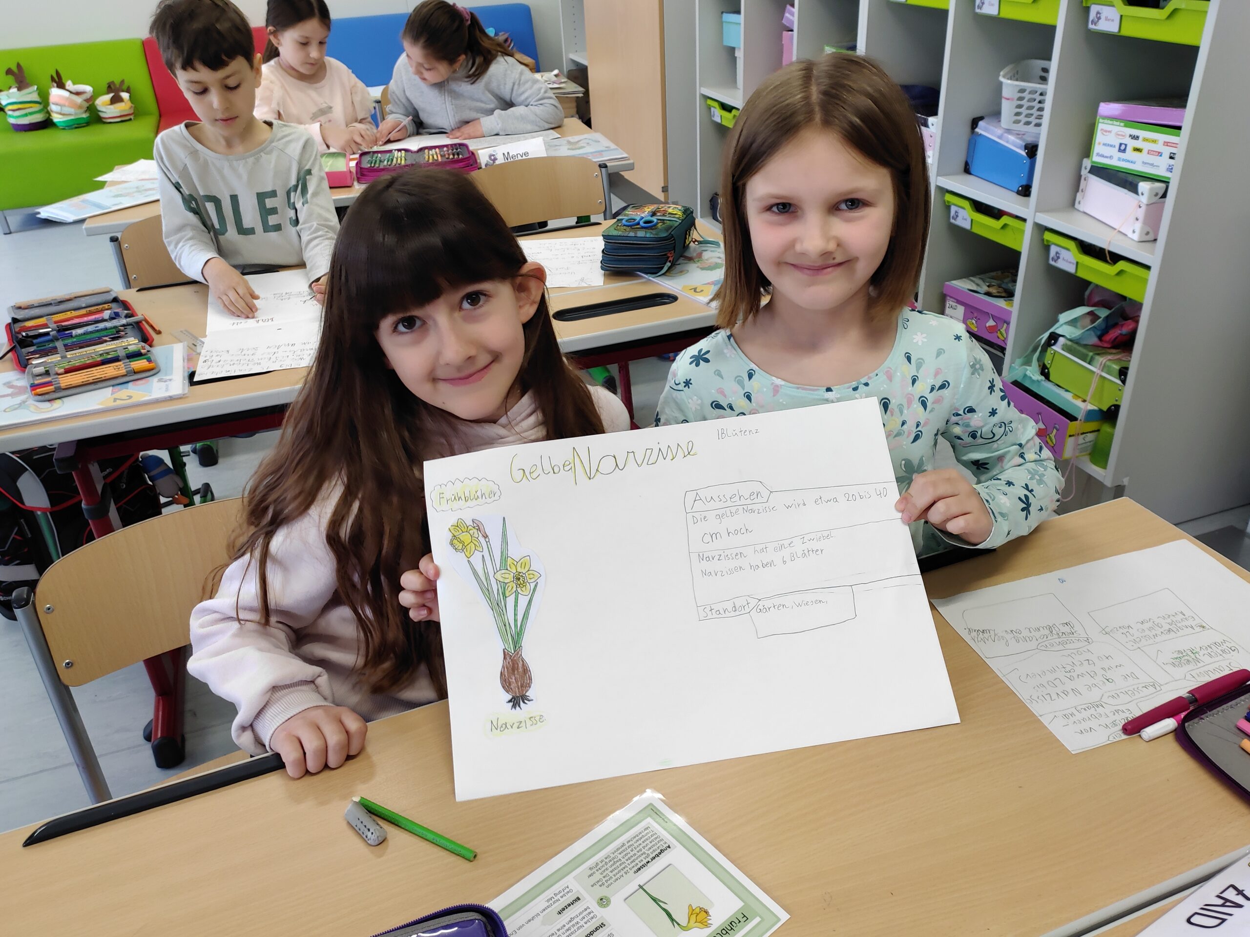2c Projekt Frühblüher